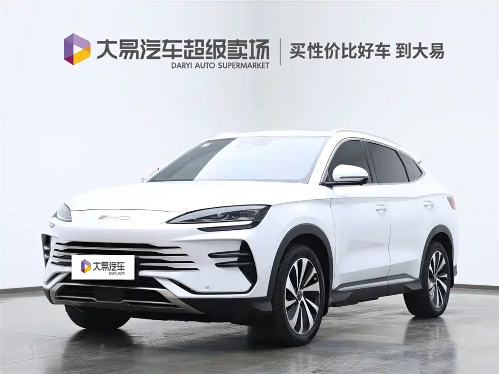 BYD SONGJIANG NEW ENERGY