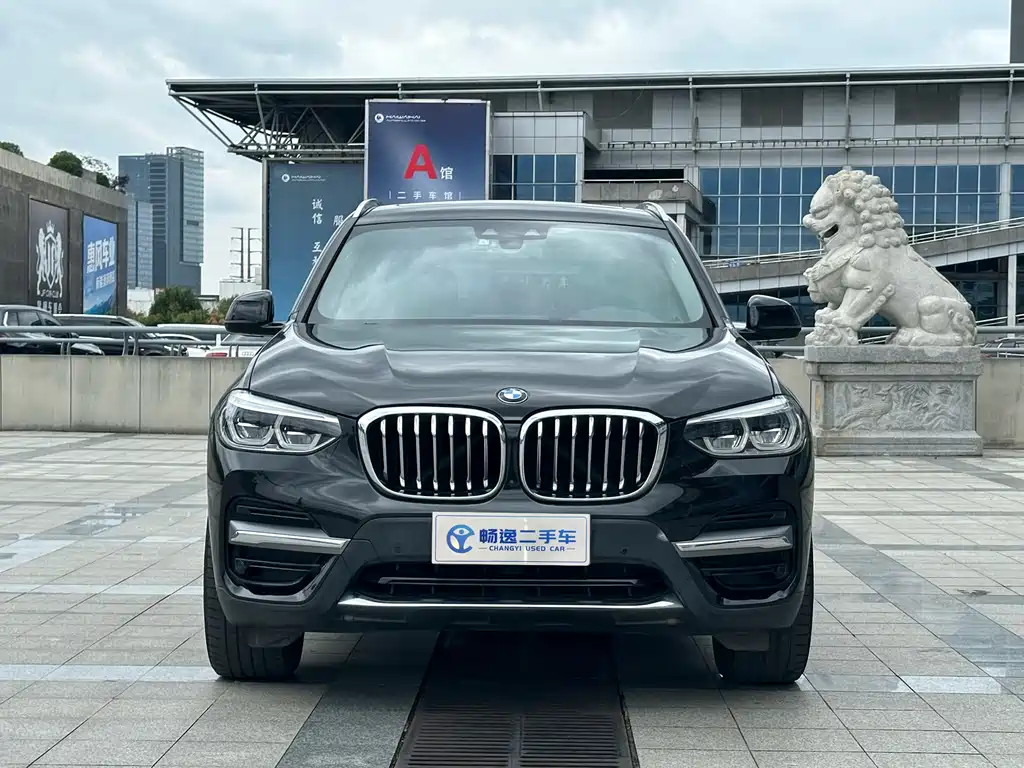 BMW X3 — миниатюра 2