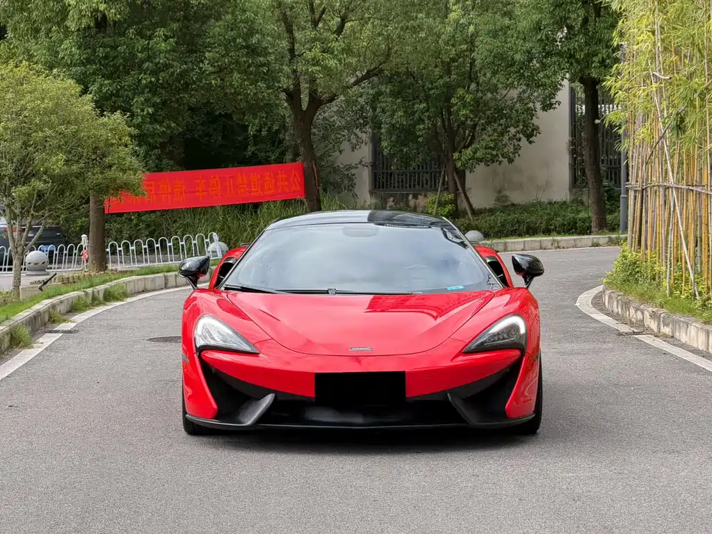 McLaren 540C — миниатюра 2