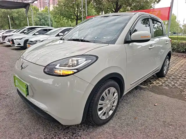 Wuling Bingo
