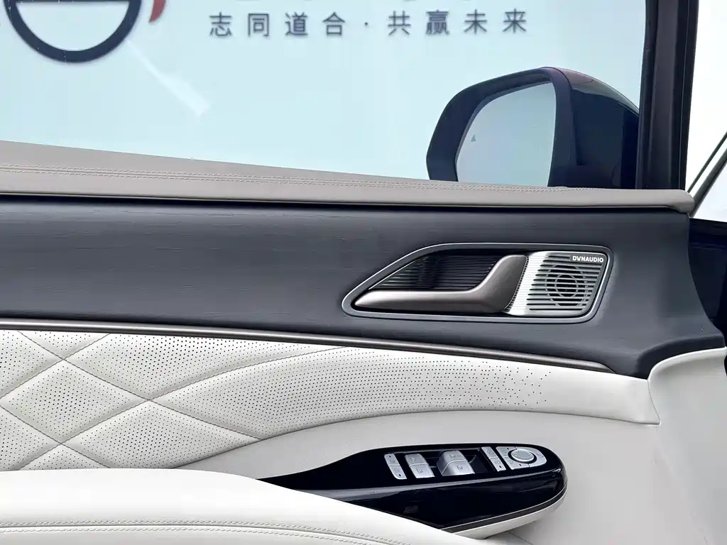 Denza Denza D9 — миниатюра 8