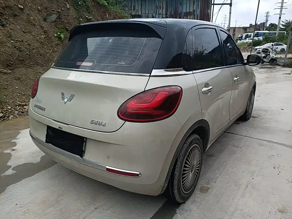 Wuling Binguo 2023 333km +