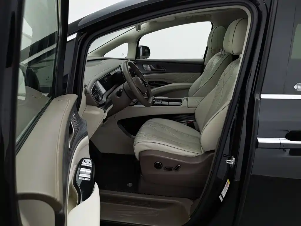 Denza Denza D9 — миниатюра 10