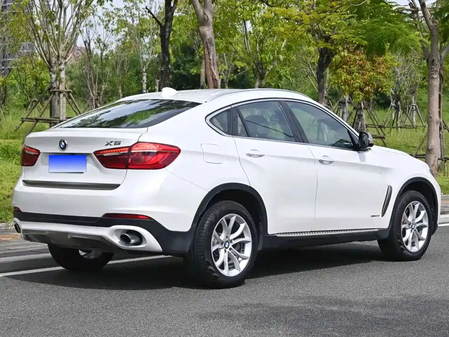 BMW X6 — миниатюра 3