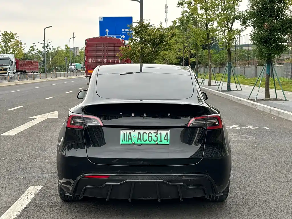 Tesla Model Y — миниатюра 17