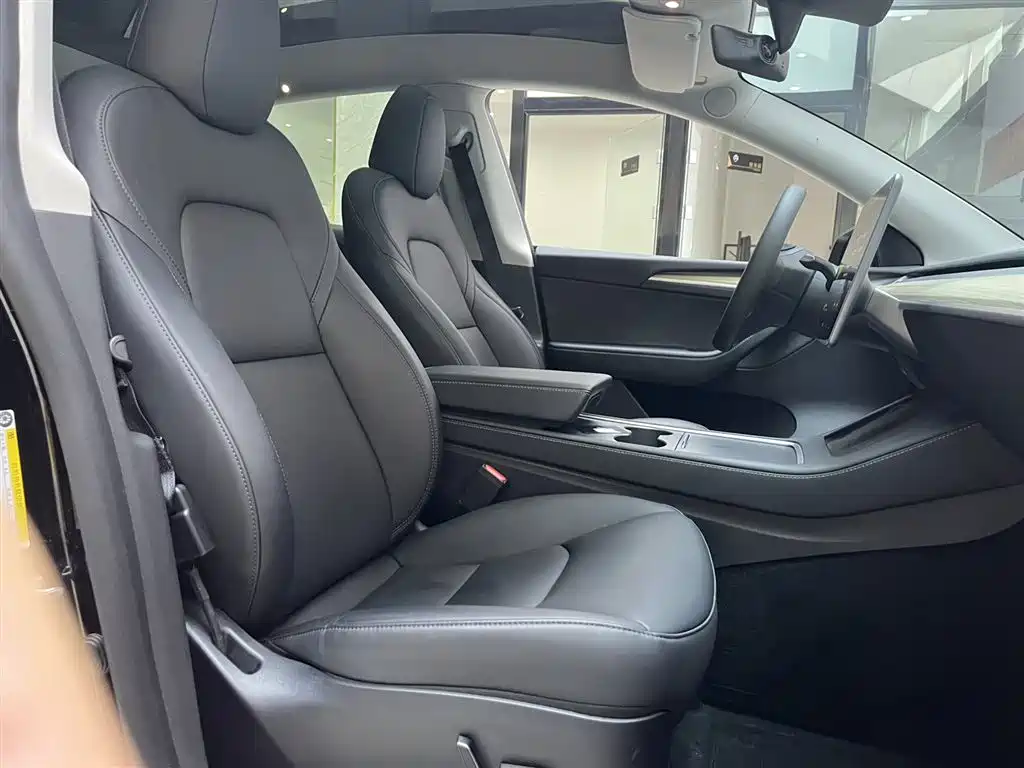 Tesla Model Y — миниатюра 13