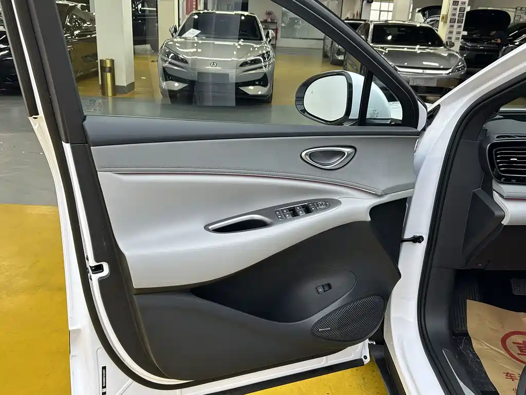 BYD Sea Lion 06 06 2025 DM-i 205 Plus
