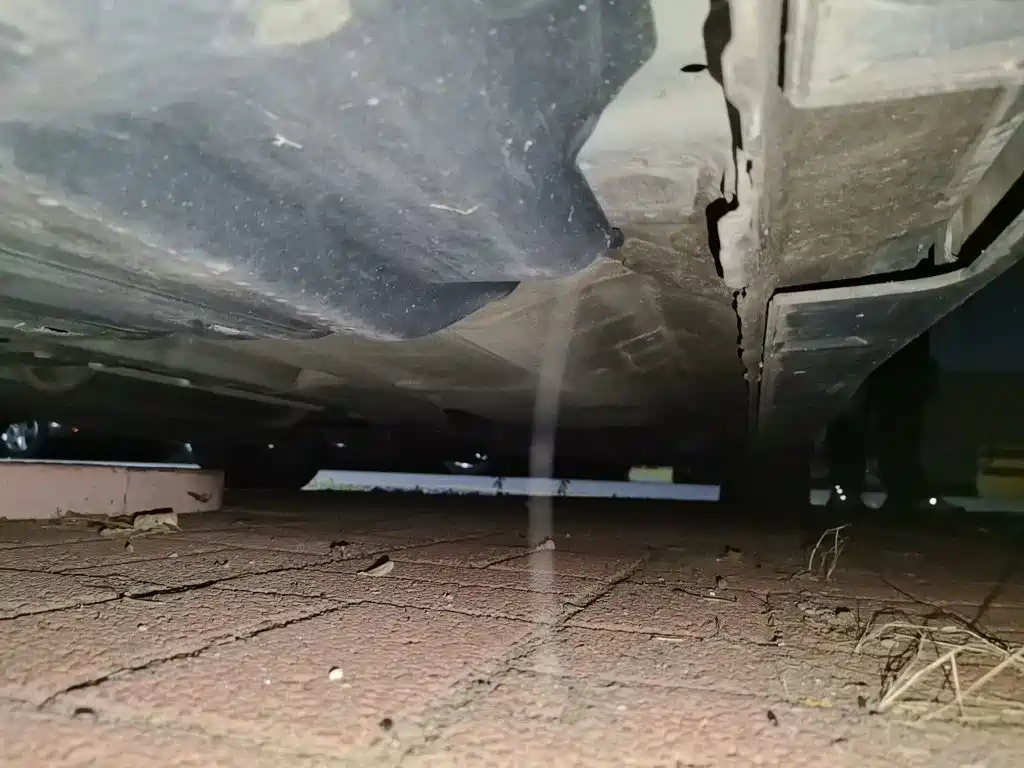 Honda Accord — миниатюра 17