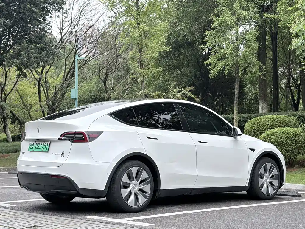 Tesla Model Y — миниатюра 8