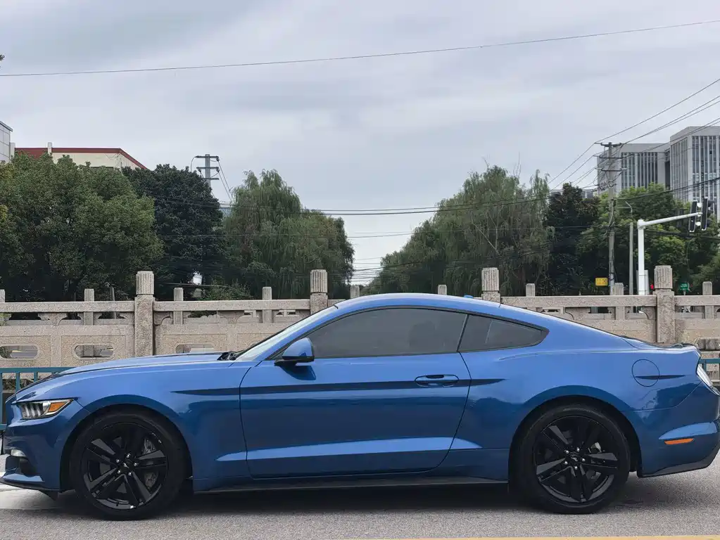 Ford Mustang — миниатюра 3