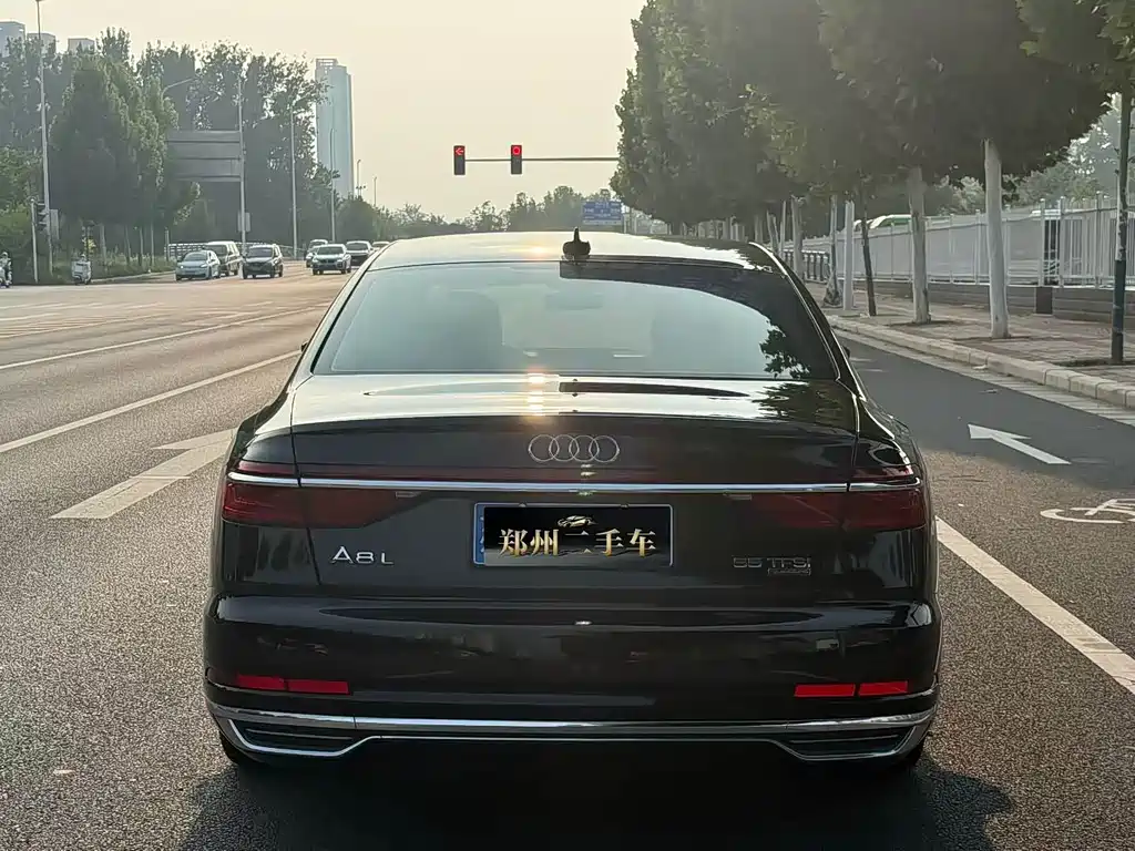 Audi A8 — миниатюра 19