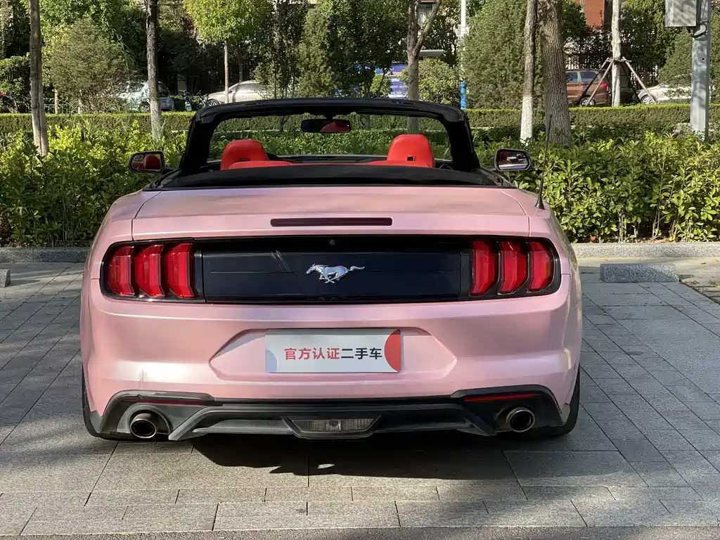 Ford Mustang — миниатюра 8