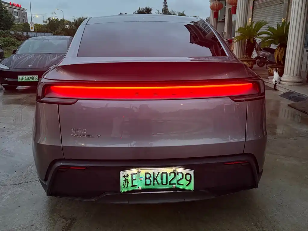Tesla Model Y — миниатюра 4