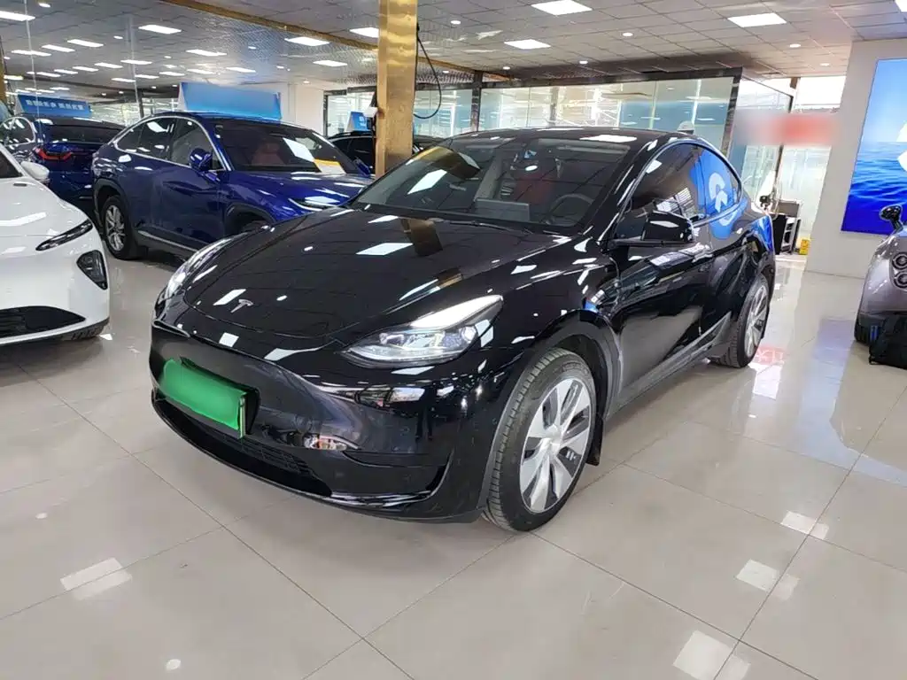 Tesla Model Y — миниатюра 2