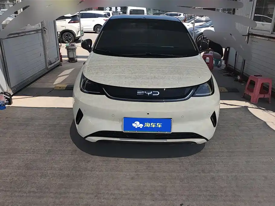 BYD Dolphin 2025 Smart Drive 420km Freedom