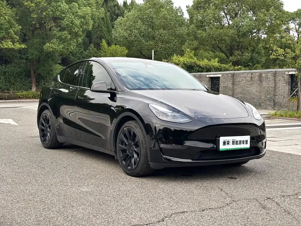 Tesla Model Y — миниатюра 3