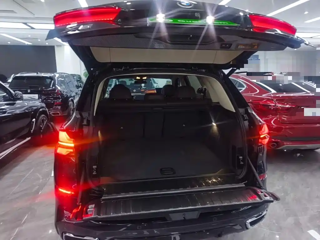BMW X5 — миниатюра 19