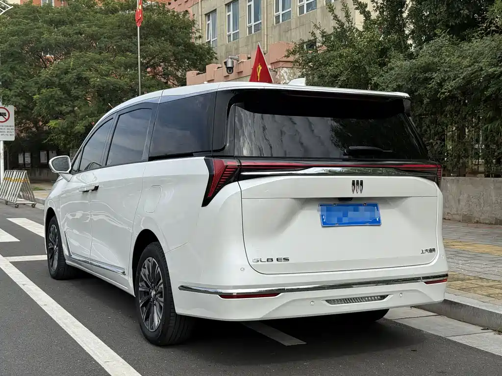 Buick GL8 — миниатюра 5