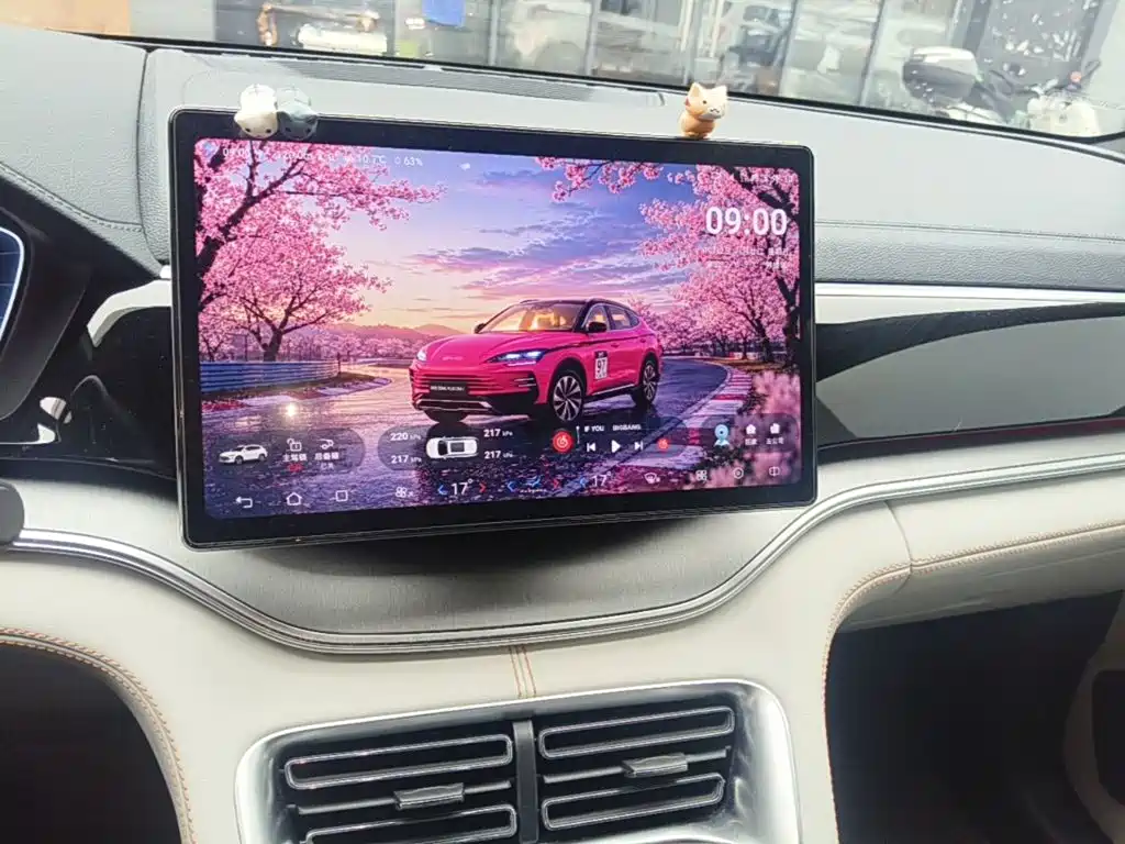 BYD PLUS New Energy — миниатюра 13