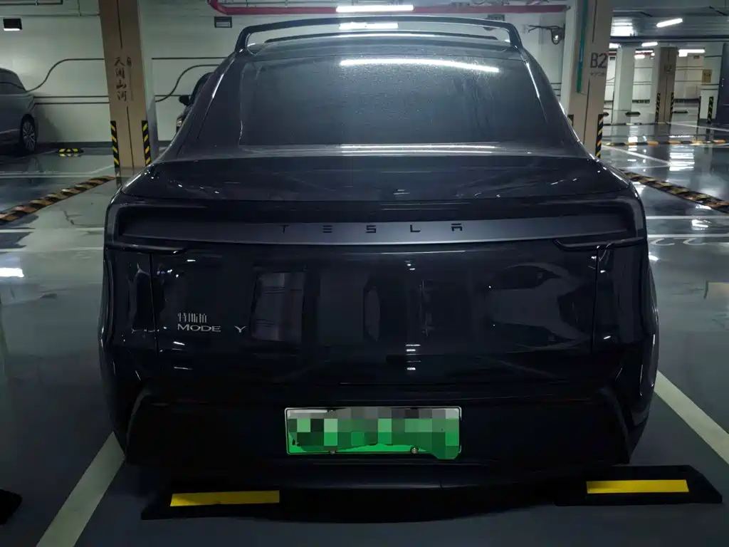 Tesla Model Y — миниатюра 5