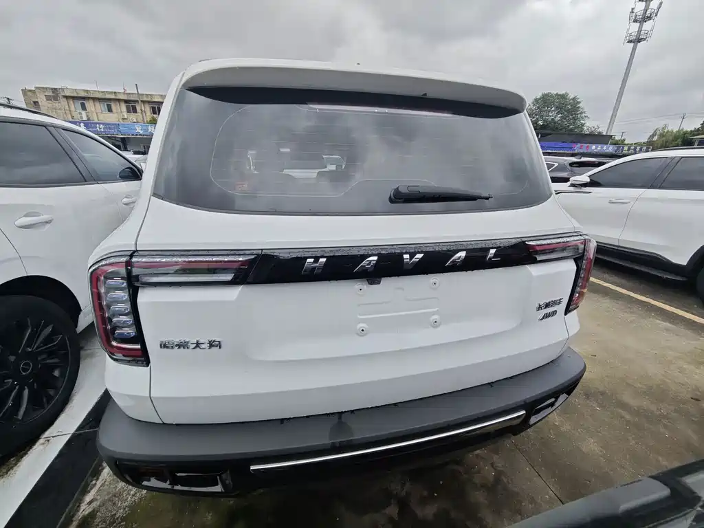 Haval 长城大狗 — миниатюра 15