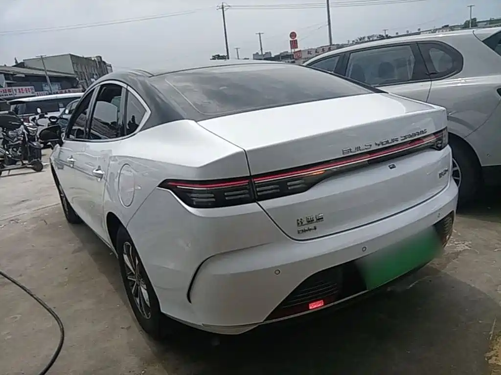 BYD Destroyer 05 2024 DM-i 55KM Luxury