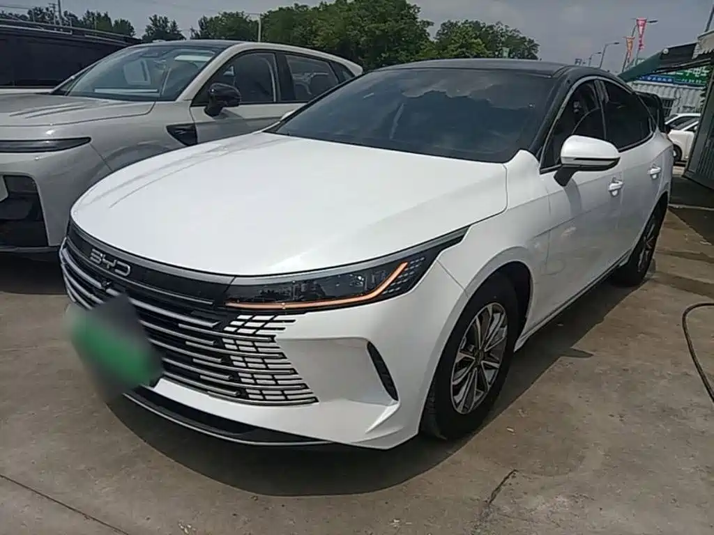 BYD Destroyer 05 2024 DM-i 55KM Luxury