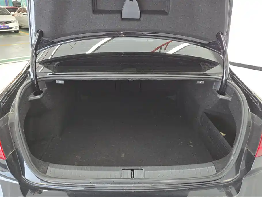 Volkswagen Magotan 2023 200 330TSI DSG Lead
