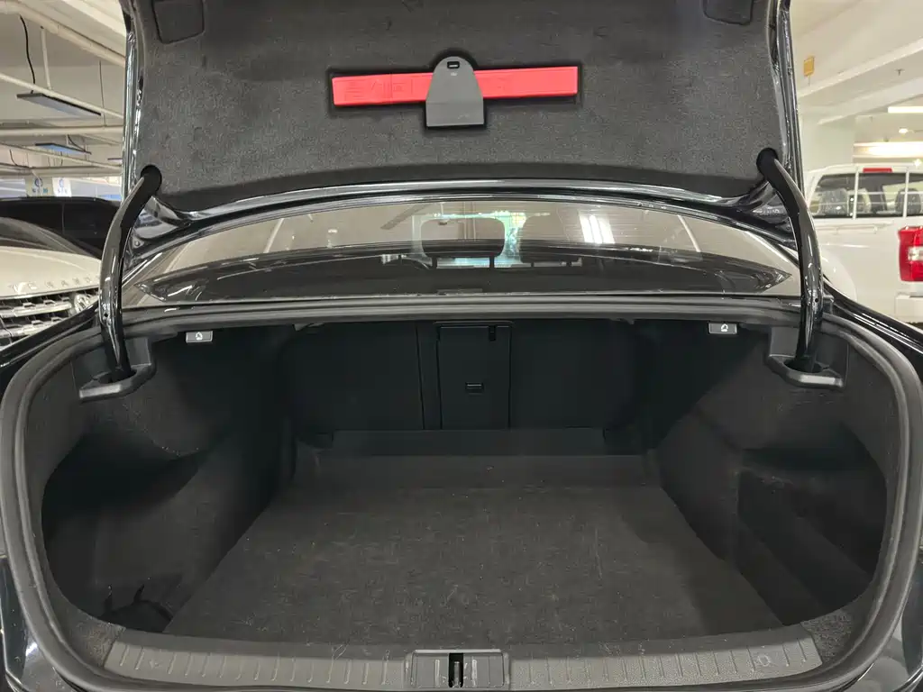 Volkswagen Magotan 2018 330TSI DSG Lead
