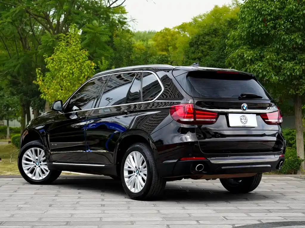 BMW X5 (Import) — миниатюра 10