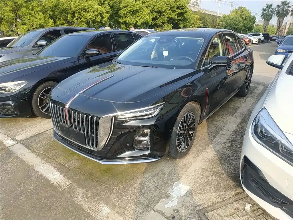 Hongqi Hongqi H5 2024