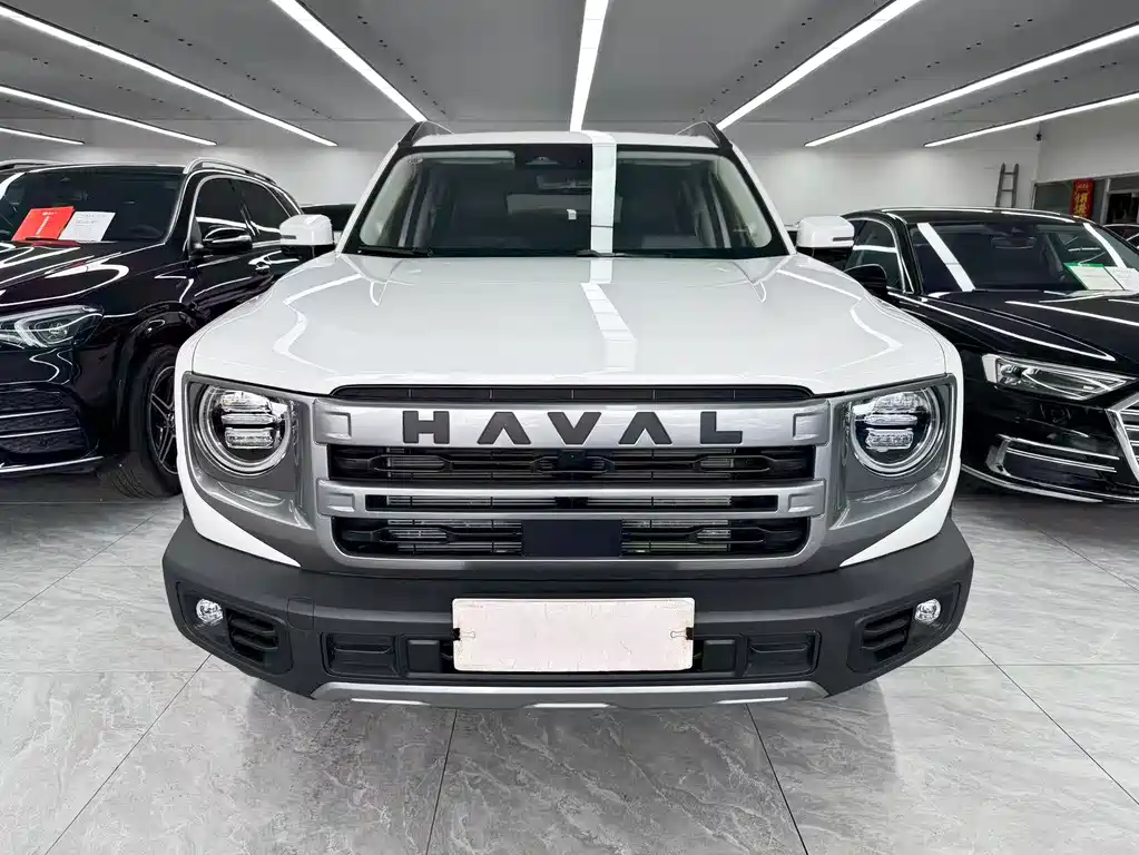 Haval 长城大狗 — миниатюра 2