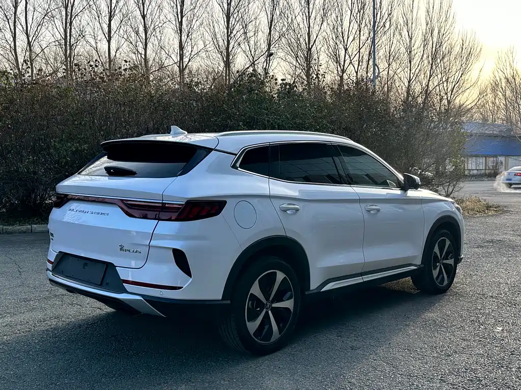 BYD SONGJIANG NEW ENERGY