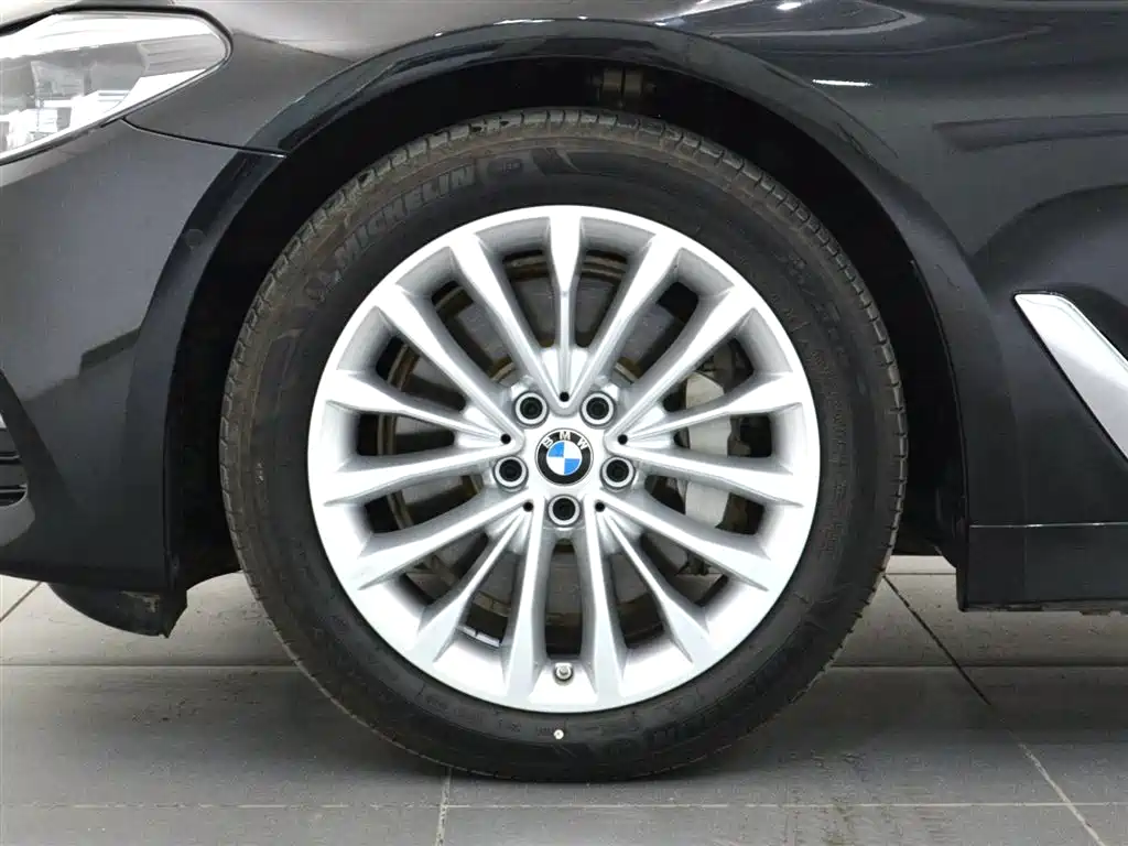 BMW 5 Series 5 2020 530Li Lead Luxury