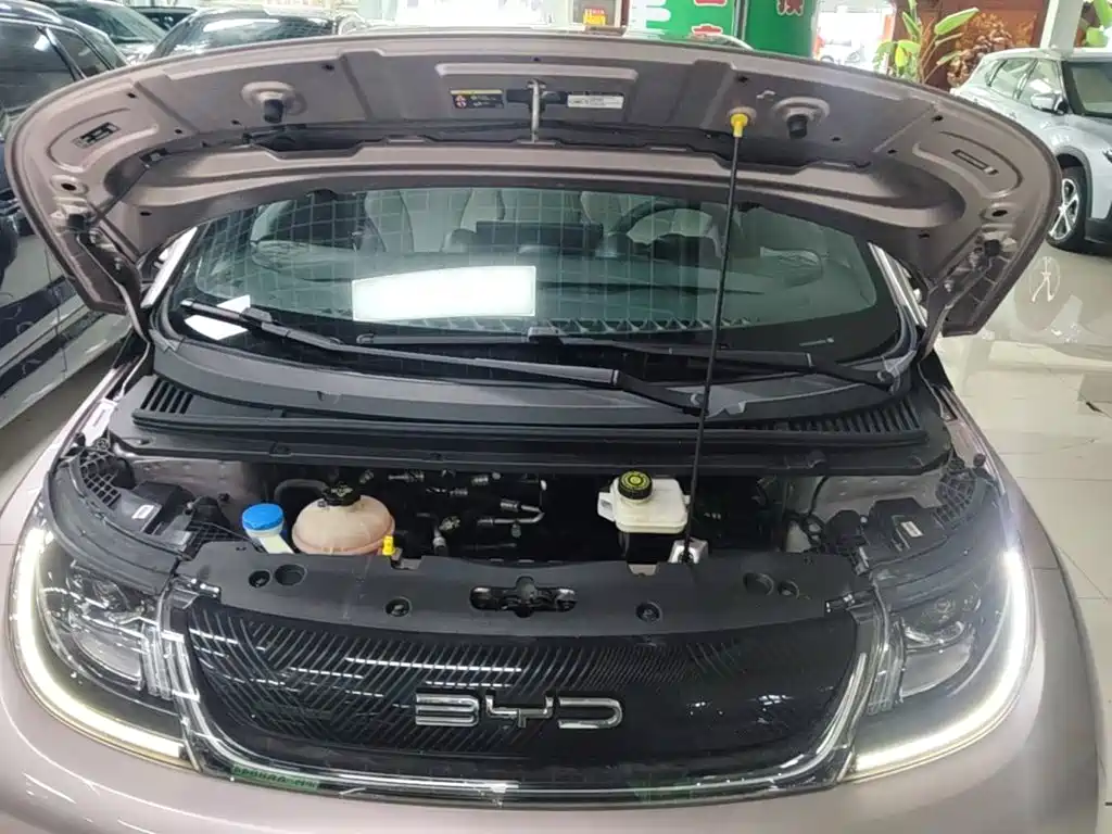 BYD Dolphin — миниатюра 20