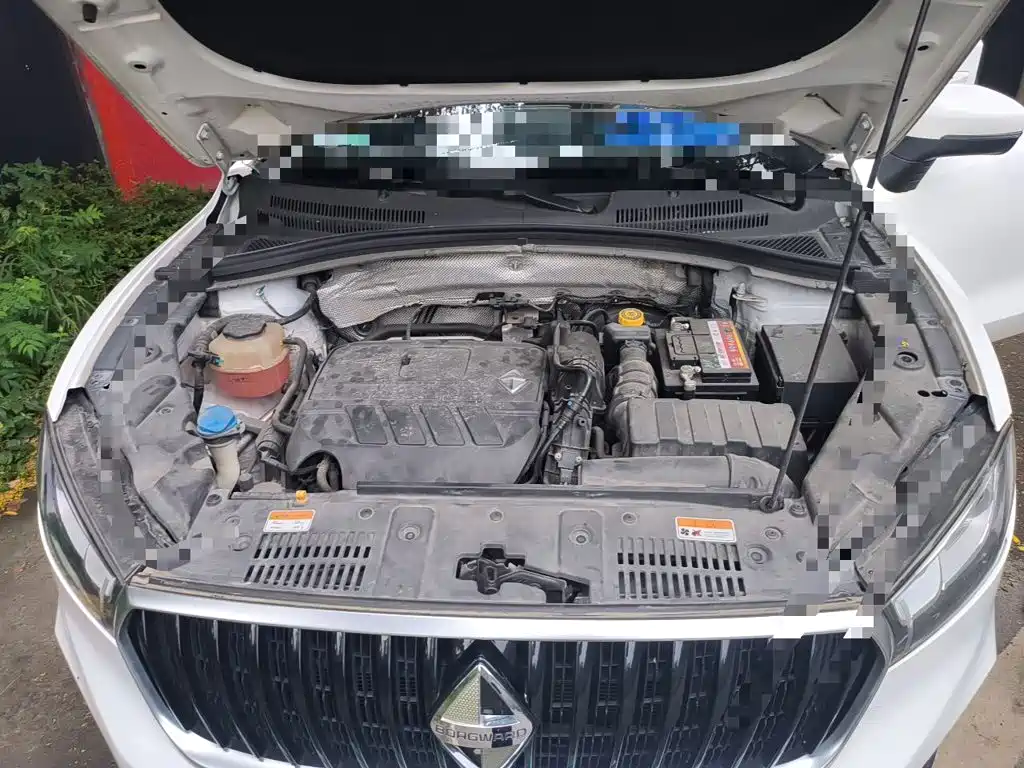 Borgward 宝沃BX3 — миниатюра 21