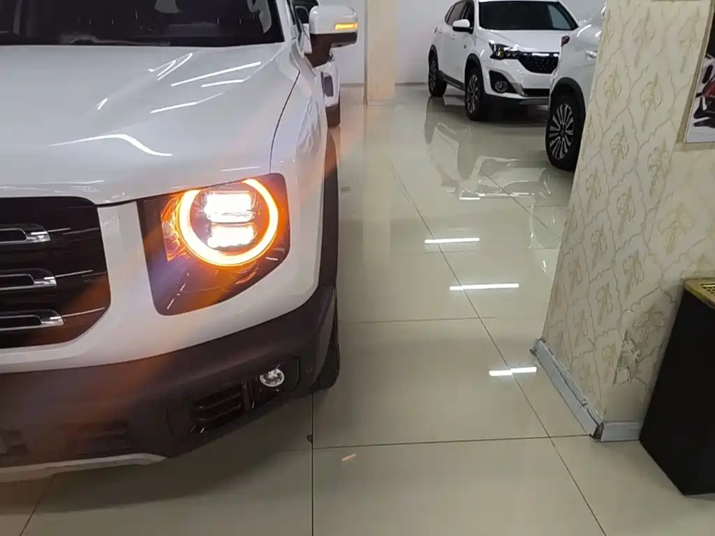Haval 长城大狗 — миниатюра 24