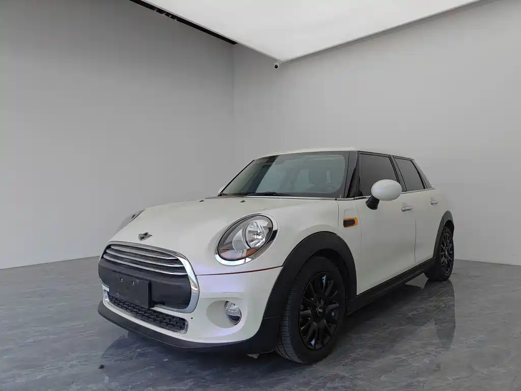 Mini Mini 2018