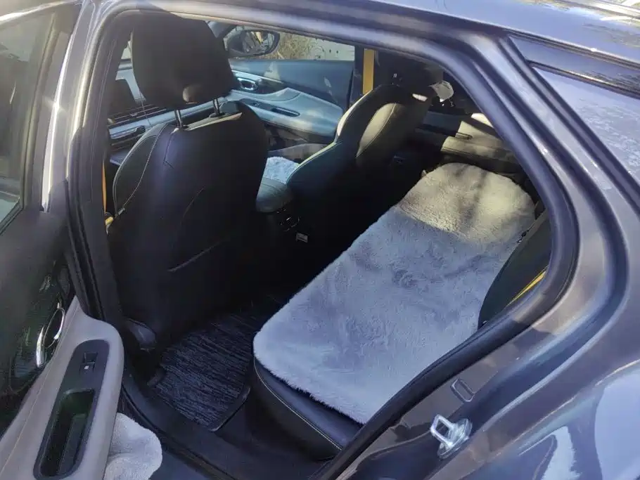 GAC Motor Shadow Leopard — миниатюра 11