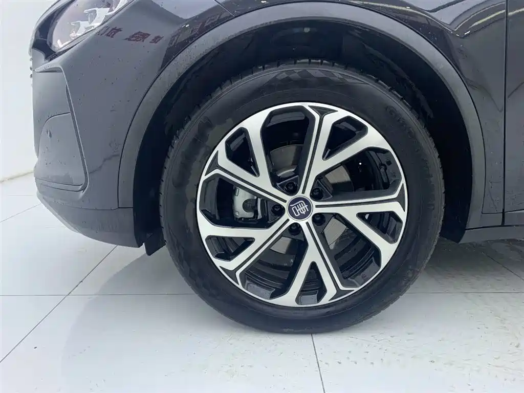 BYD Tang 2025 Smart Drive DM-i 115KM Flagship