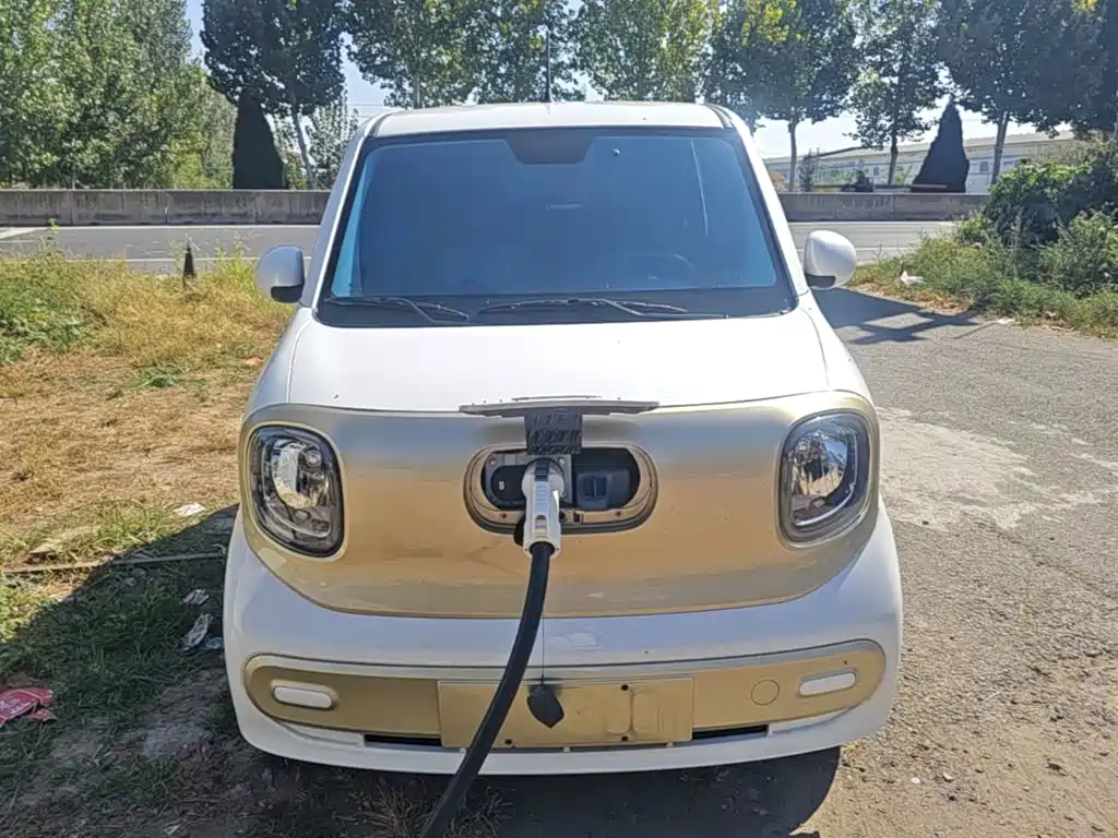 Bestune Pony — миниатюра 3