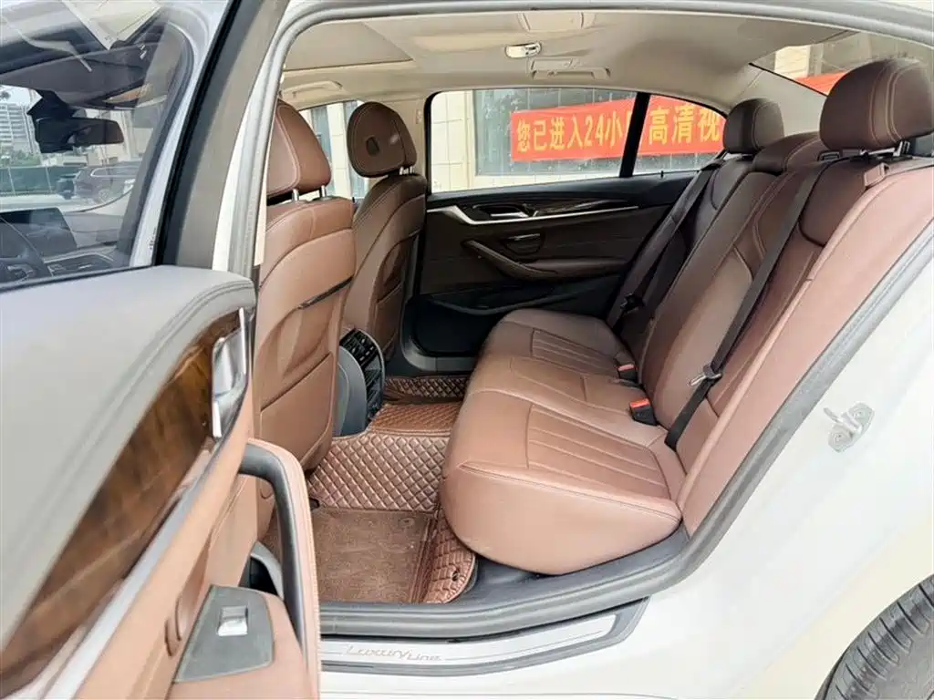 BMW 5 Series 5 2019 525Li Luxury
