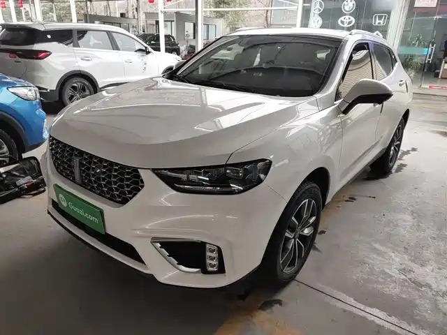 wei-pai wei-brand-vv5