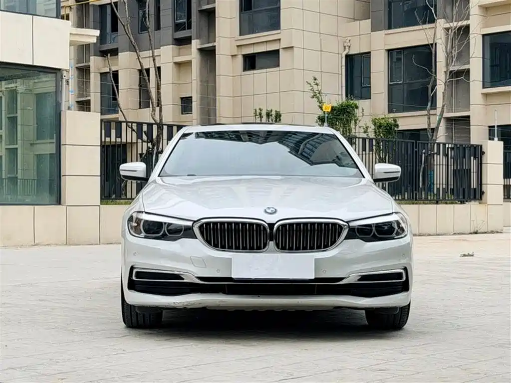 BMW 5 Series 5 2019 525Li Luxury