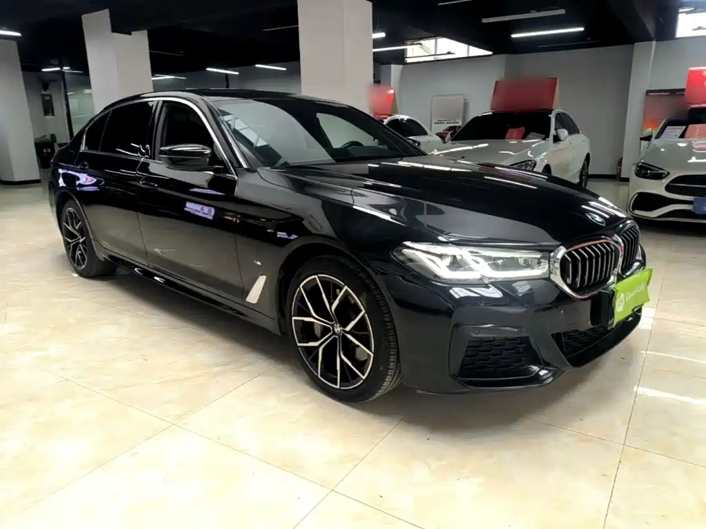 BMW 5 Series — миниатюра 4