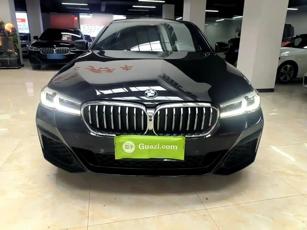 BMW 5 Series — миниатюра 3