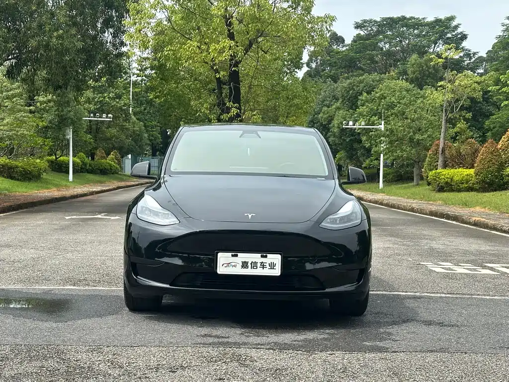 Tesla Model Y — миниатюра 2