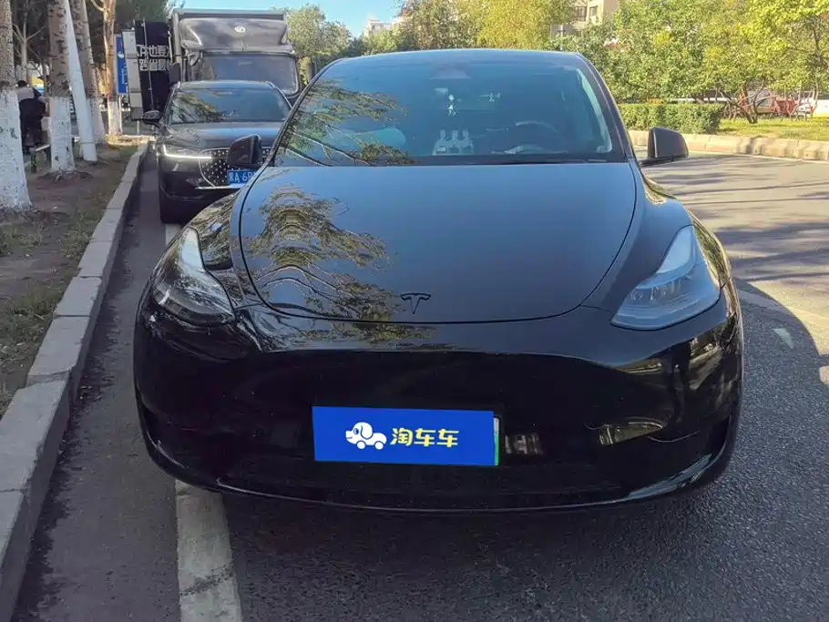 Tesla Model Y — миниатюра 2
