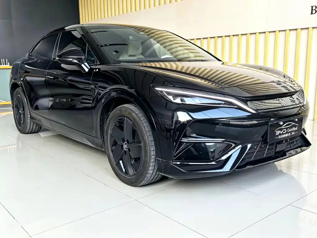 BYD L EV — миниатюра 3