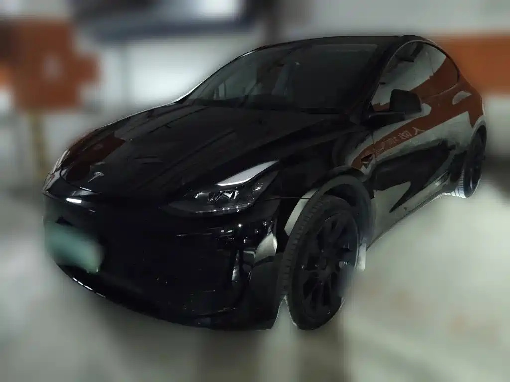 Tesla Model Y — миниатюра 2